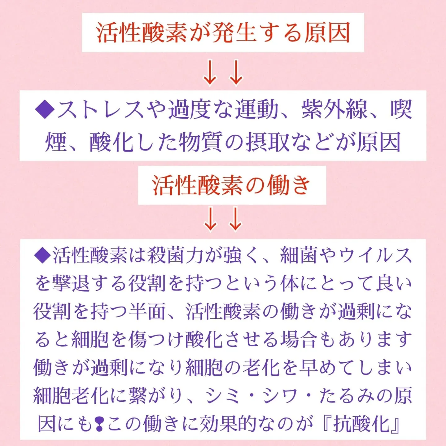 【活性酸素と肌老化】