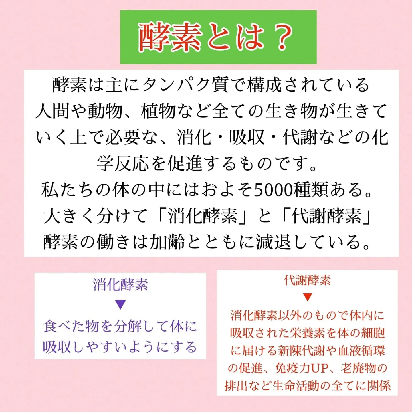 【体の中には酵素が約5000種類も！？】