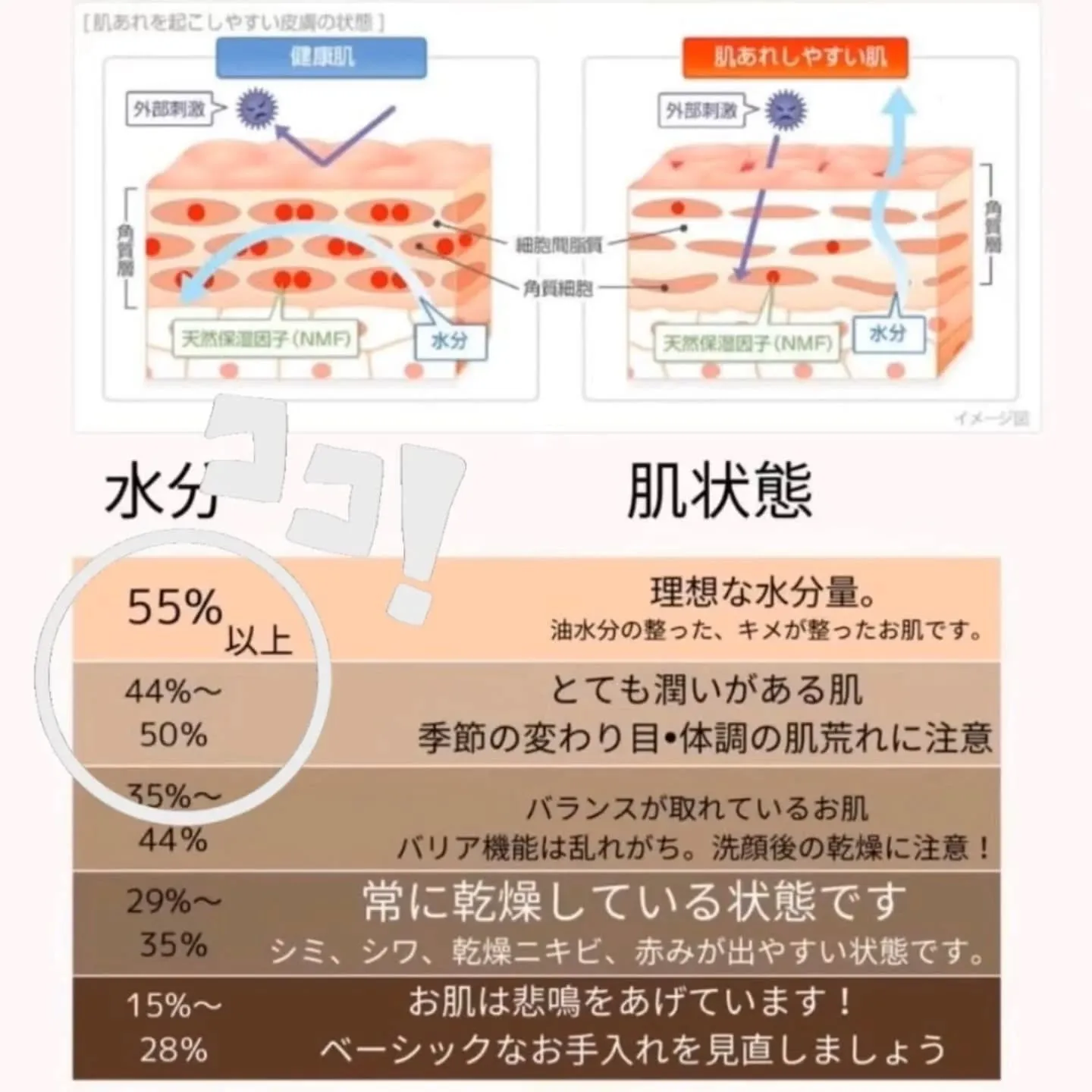 【世界初のエアブラシシステム技術とスキンケア概念→お肌に触れ...