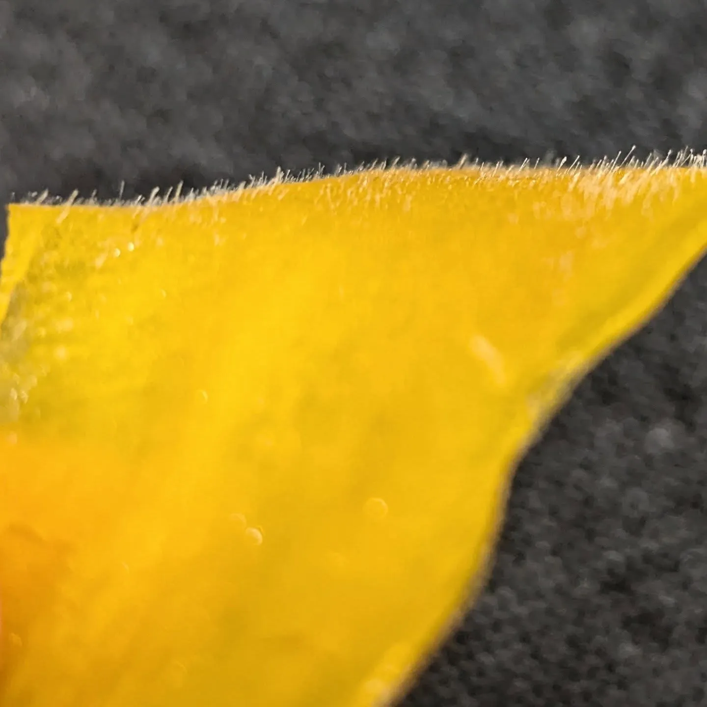 【新規様フェイシャルWAX】