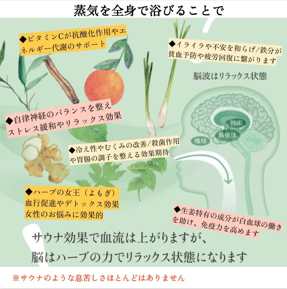 【新メニューのご案内】